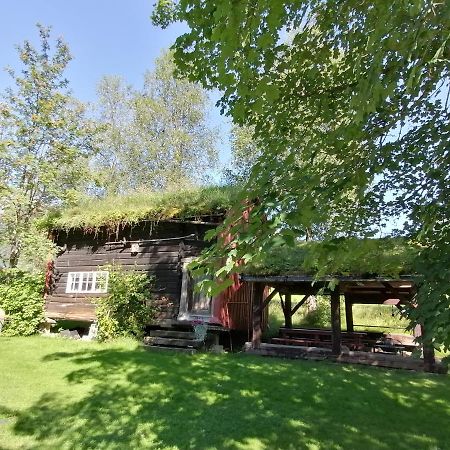 Lensmansgarden Fjosen Daire Innfjorden Dış mekan fotoğraf
